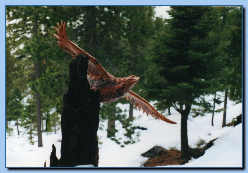 2-03 eagle with wings out, attached -archive-0004